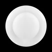 ТАРЕЛКА с полями 12'' 300мм 