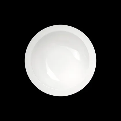 САЛАТНИК 6,5