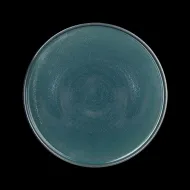 ТАРЕЛКА с бортом 10'' 260мм, темно-зеленый