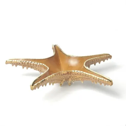 Блюдо для подачи 28*28 см h6 см 100 мл Звезда Pearl Starfish Frutti di Mare - интернет-магазин КленМаркет.ру