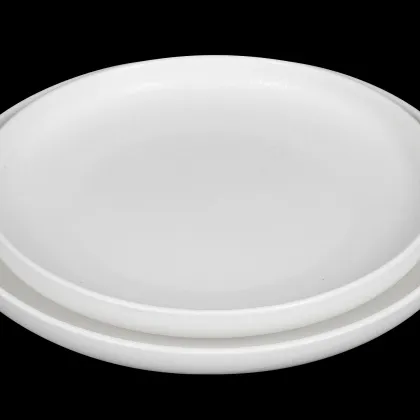 ТАРЕЛКА с высокими бортами 10,5'' 267мм 